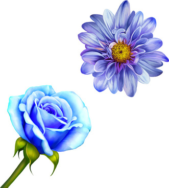 331x368 Photos Drawing Realistic Flower - Realistic Flowers Drawing