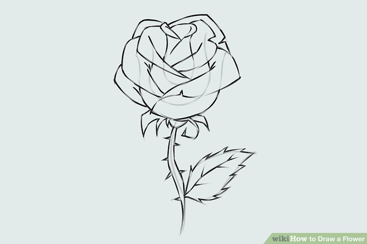 728x485 Easy Ways To Draw A Flower - Realistic Flowers Drawing