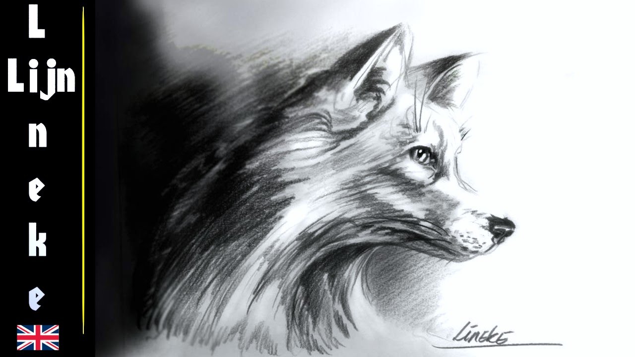 1280x720 Easy Fox For Beginners Graphite Pencil Drawing - Realistic Fox Drawing