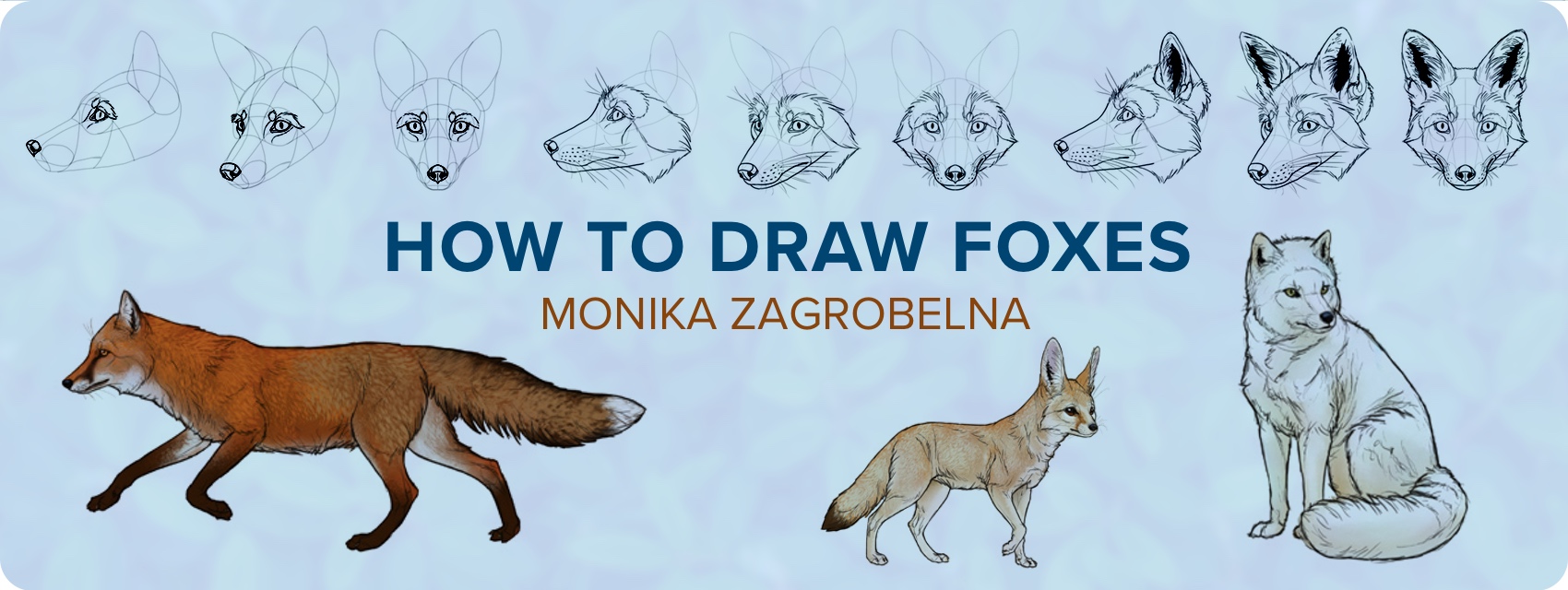 1700x640 How To Draw A Fox Step - Realistic Fox Drawing