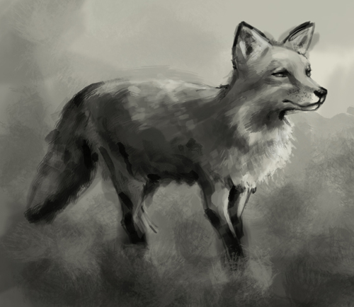 500x434 How To Draw Fox - Realistic Fox Drawing