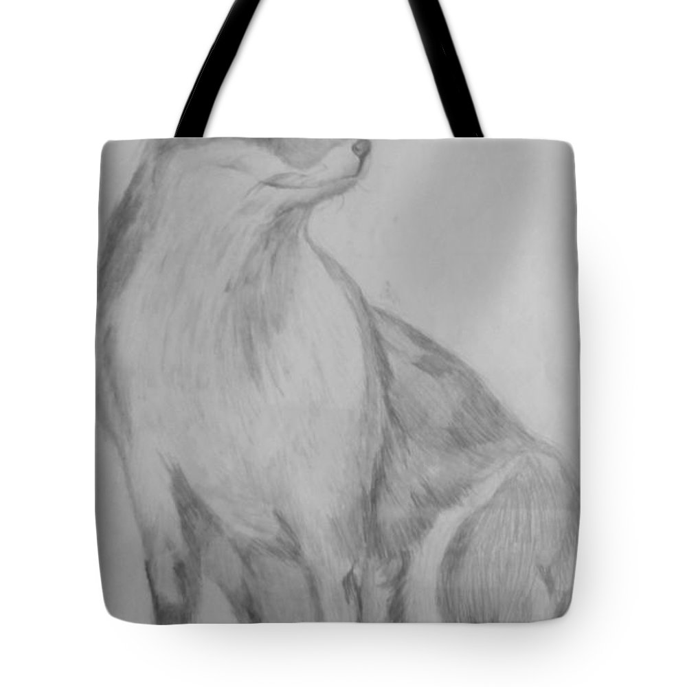1000x1000 realistic fox drawing tote bag for sale - Realistic Fox Drawing
