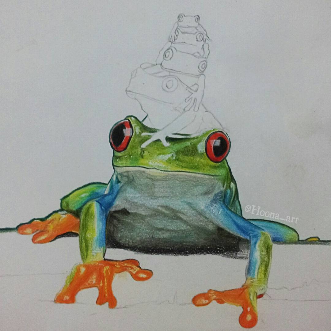 realistic frog drawing