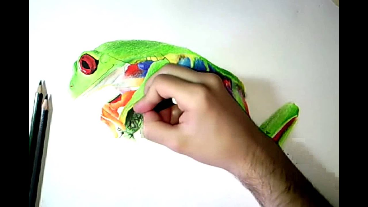 1280x720 How I Draw A Frog - Realistic Frog Drawing