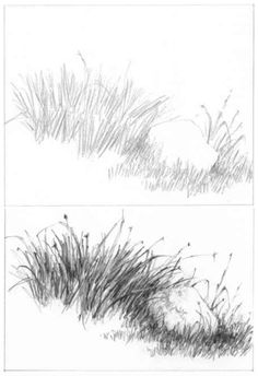 236x344 how to draw grass - Realistic Grass Drawing