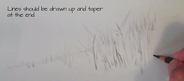 640x281 how to draw grass with colored pencils - Realistic Grass Drawing
