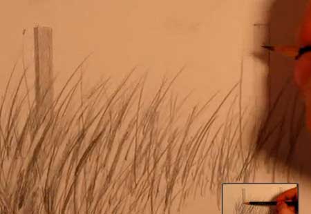 450x310 how to draw realistic tall grass - Realistic Grass Drawing