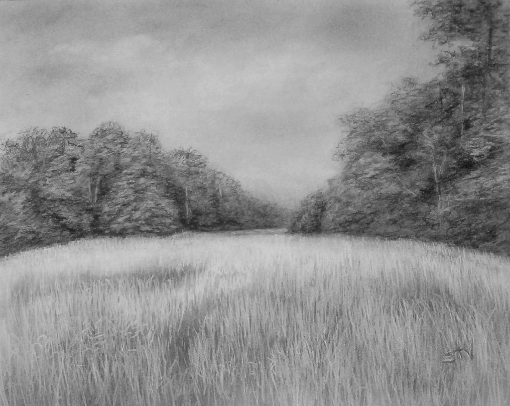 1024x816 Wheat Drawing Realistic For Free Download - Realistic Grass Drawing