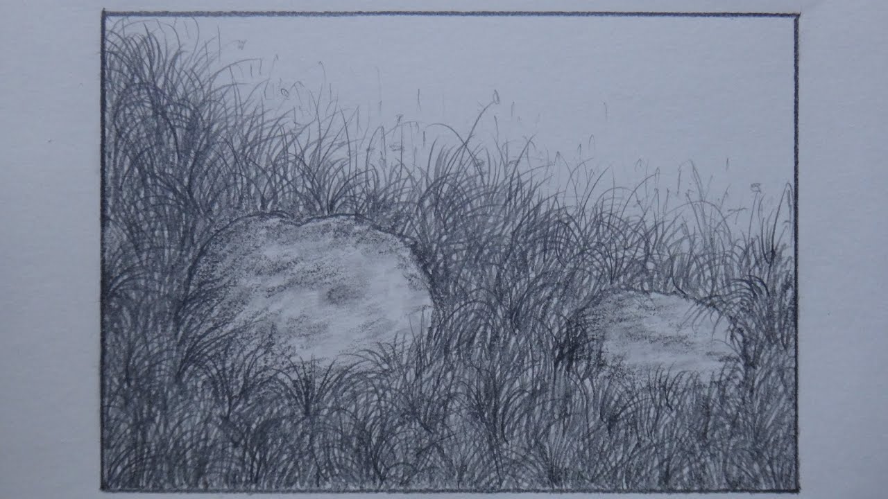 1280x720 how to draw grass using pencil for landscape - Realistic Grass Drawing