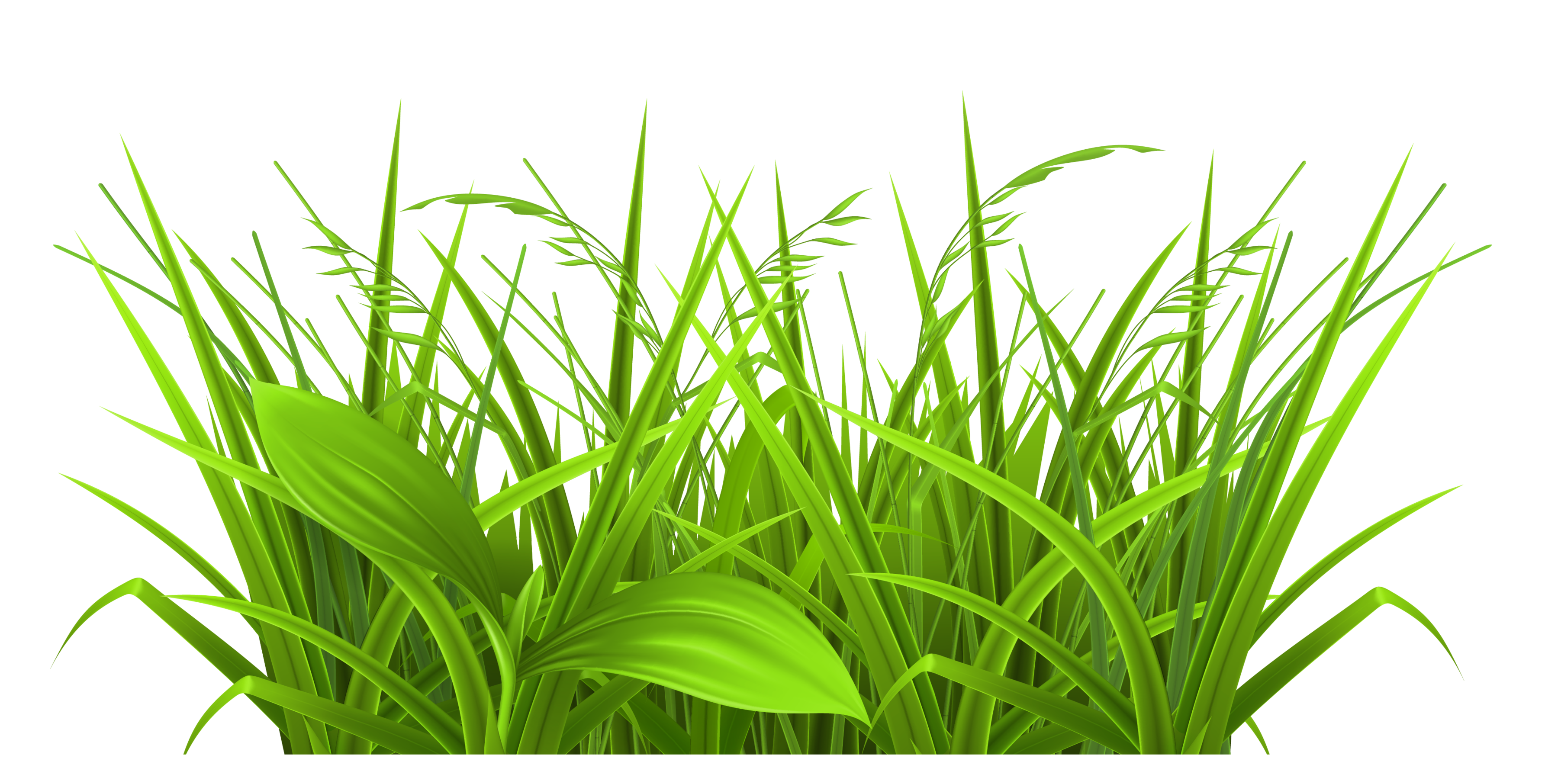3570x1812 collection of free grass drawing realistic download on ui ex - Realistic Grass Drawing