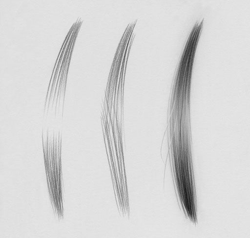 512x488 how to draw realistic hair this shows the differences between how - Realistic Hair Drawing