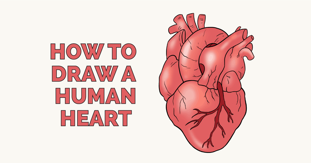 Realistic Heart Drawing at Explore collection of