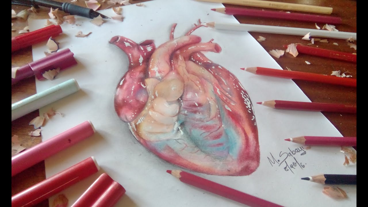 1280x720 How To Draw A Hyper Realistic Heart Colored Pencil Tutorial - Realistic Heart Drawing