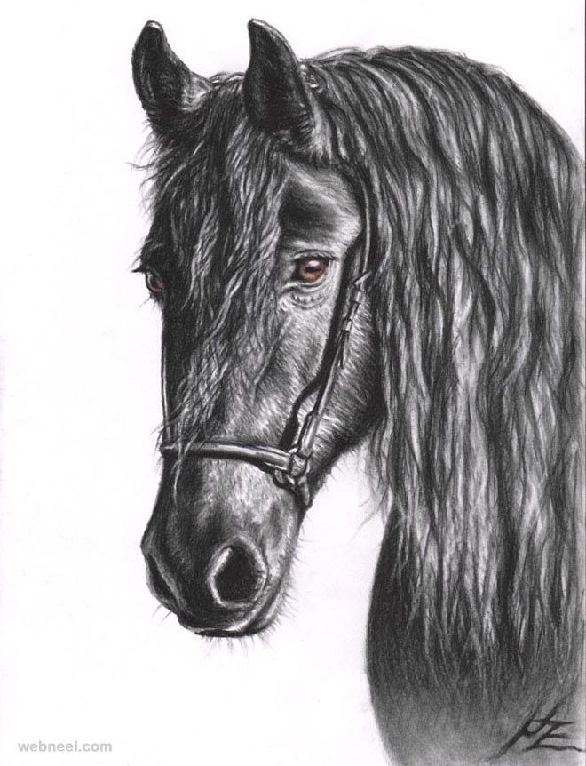 Realistic Horse Drawing
