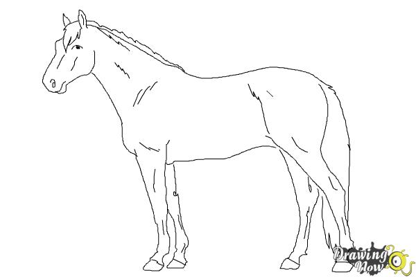 600x400 How To Draw A Realistic Horse - Realistic Horse Drawing