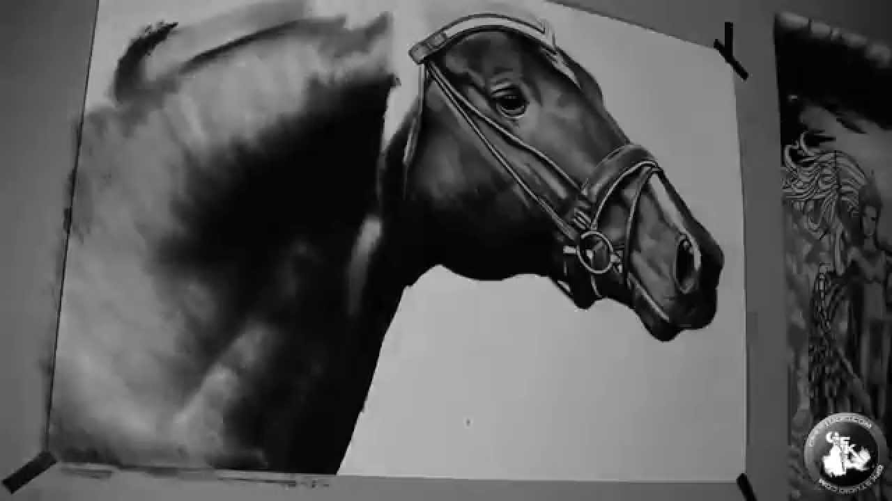 1280x720 Realistic Drawing Of Horse - Realistic Horse Drawing