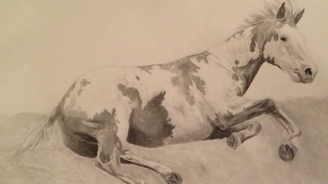 1280x720 Drawing And Shading Realistic Horse Step - Realistic Horse Drawing