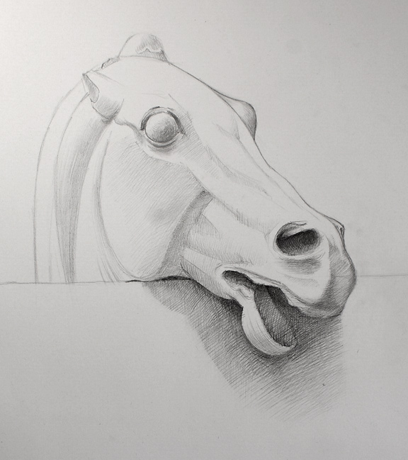 576x649 How To Draw A Realistic Horse Head - Realistic Horse Head Drawing