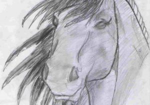 300x210 realistic horse head drawing done with shading and charcoal u - Realistic Horse Head Drawing