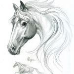 150x150 side view realistic horse coloring new how to draw a realistic - Realistic Horse Head Drawing