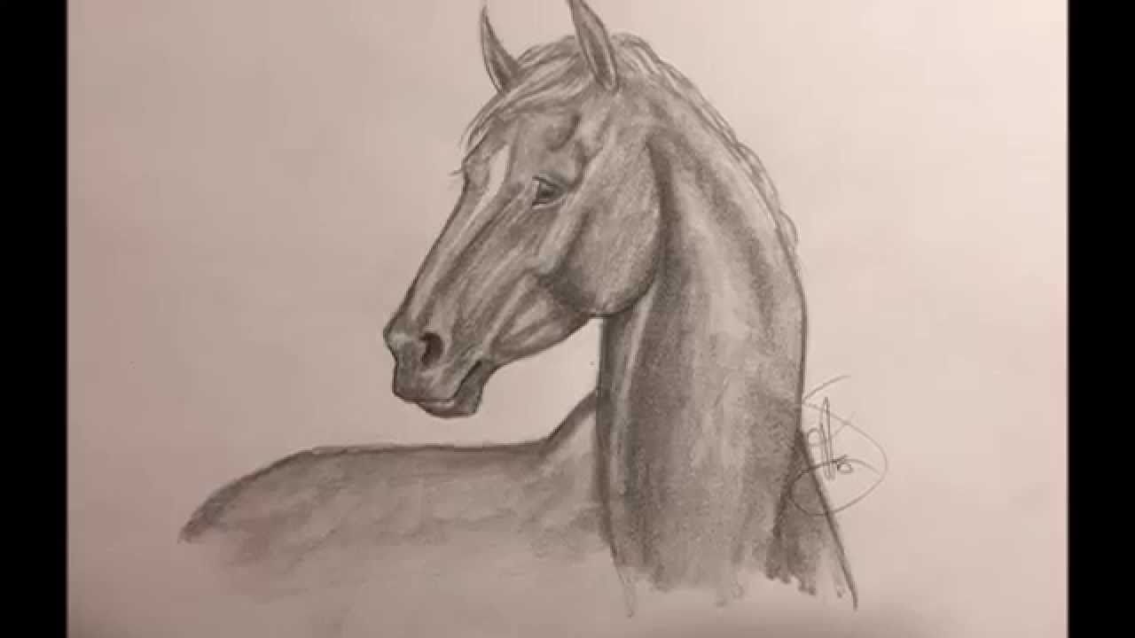 1280x720 Drawing Of Monkey Face Realistic Monkey Drawing Drawing A Monkey - Realistic Horse Head Drawing