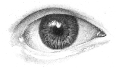 Realistic Human Eye Drawing at PaintingValley.com | Explore collection ...
