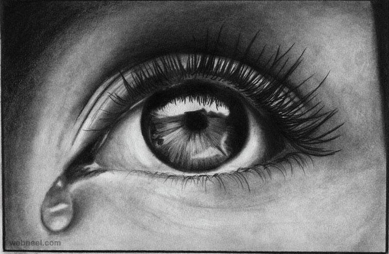 800x522 Huge Collection Of 'realistic Human Eye Drawing' Download More - Realistic Human Eye Drawing