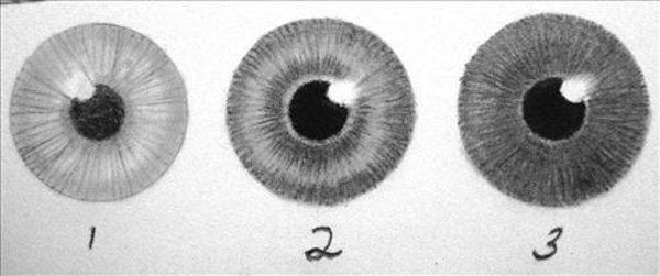 600x251 expressive drawings of eyes art and design - Realistic Human Eye Drawing