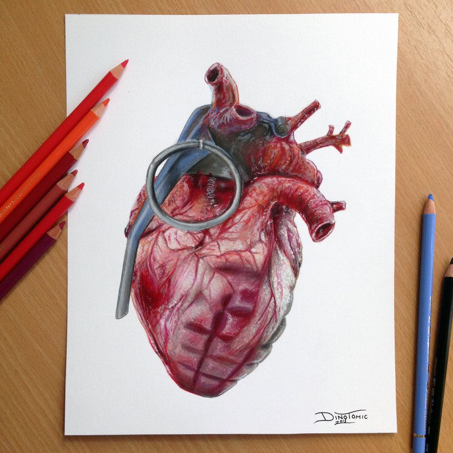894x894 grenade heart pencil drawing here is the finished drawing that was - Realistic Human Heart Drawing