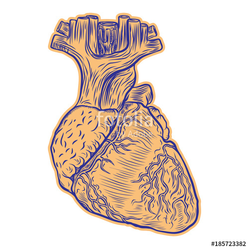 500x500 Realistic Human Heart Drawing Tattoo Art, Dot Work Design - Realistic Human Heart Drawing