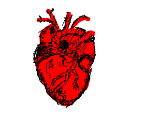 300x250 Realistic Human Heart Drawing - Realistic Human Heart Drawing