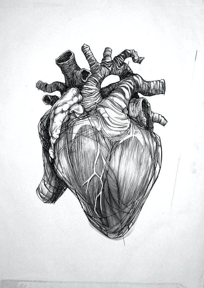 700x989 diagram of digestive system human realistic heart the anatomy - Realistic Human Heart Drawing