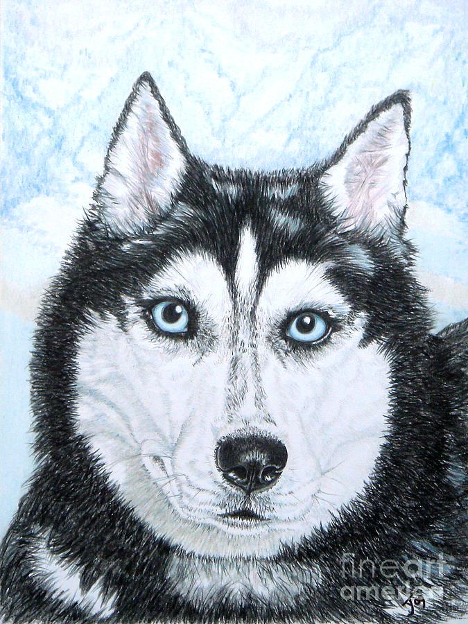 675x900 husky drawing - Realistic Husky Drawing