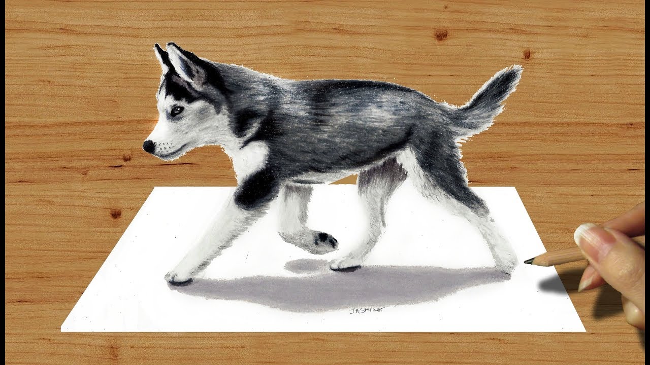 1280x720 pencil drawing siberian husky puppy - Realistic Husky Drawing