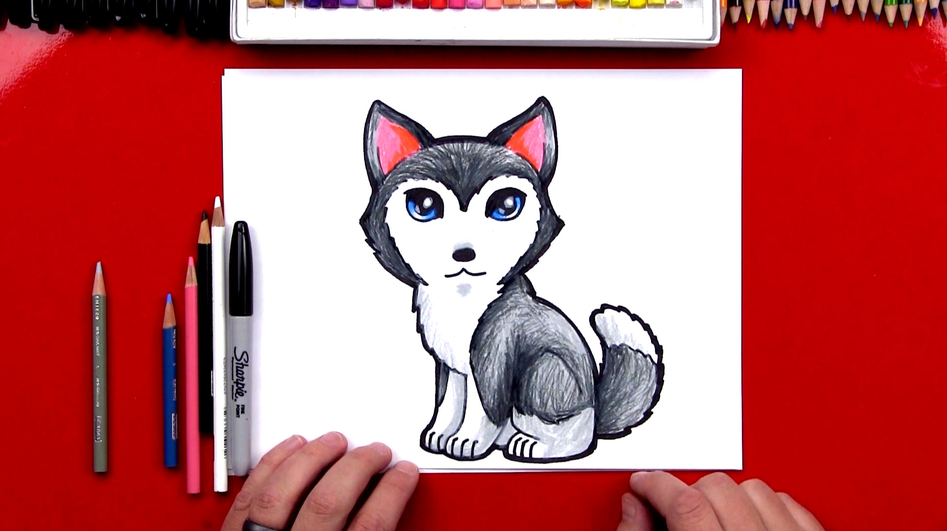 1917x1074 how to draw a cartoon husky - Realistic Husky Drawing