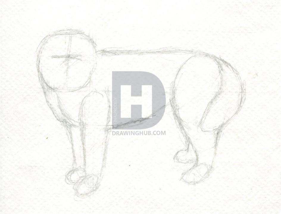 944x720 how to draw a realistic husky, step - Realistic Husky Drawing