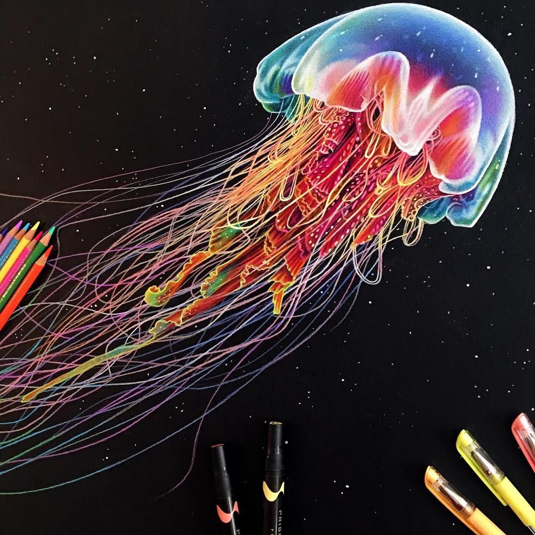 1080x1080 eclectic collection of realistic drawings draws jellyfish - Realistic Jellyfish Drawing