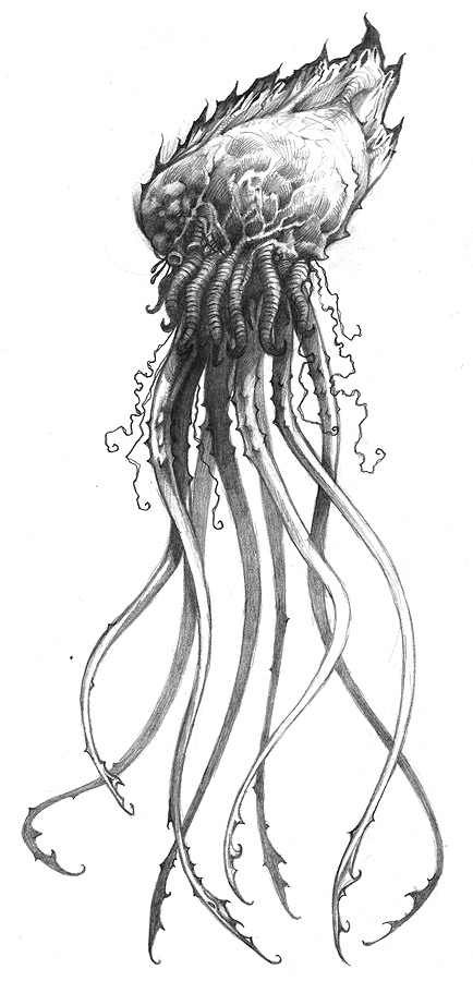 434x900 how to draw realistic jellyfish - Realistic Jellyfish Drawing