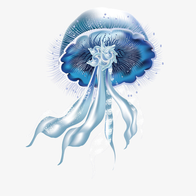Realistic Jellyfish Drawing at PaintingValley.com | Explore collection