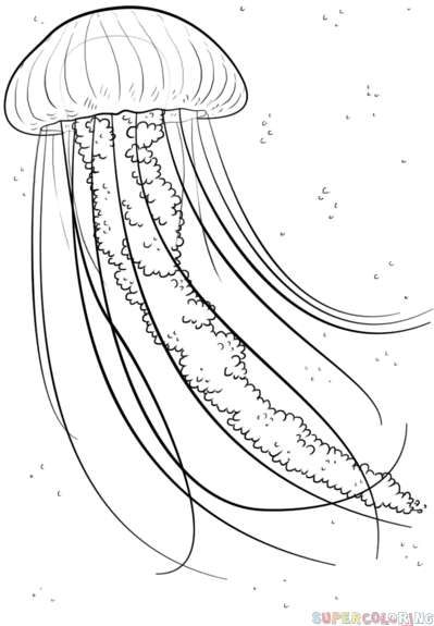 399x575 jellyfish coloring - Realistic Jellyfish Drawing