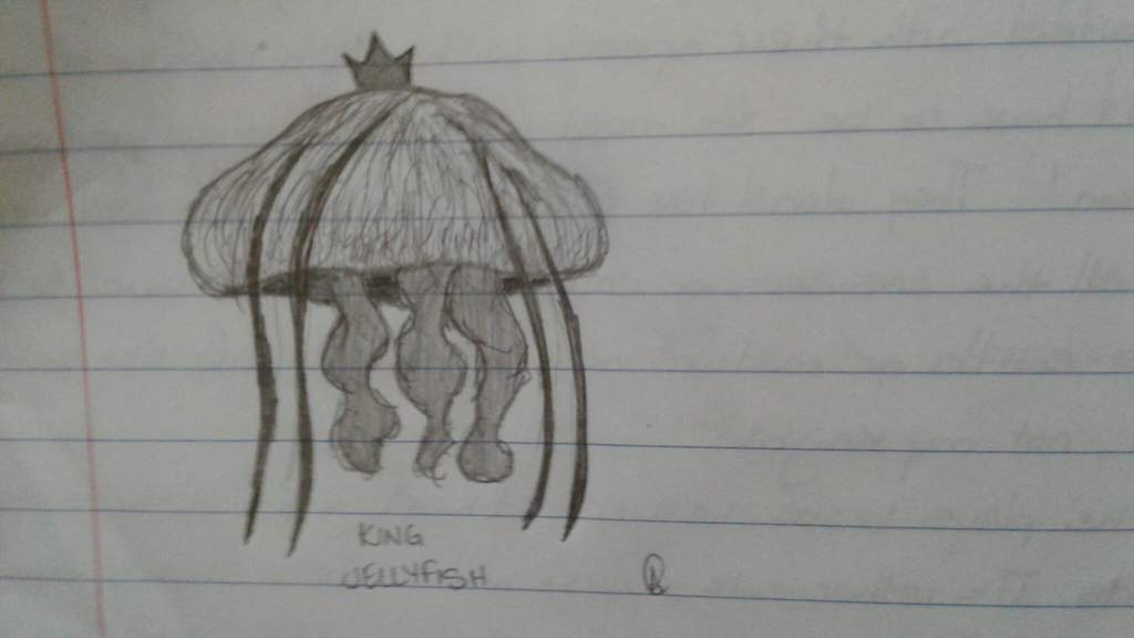1024x576 king jellyfish wattpad amino - Realistic Jellyfish Drawing