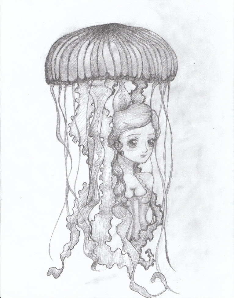 766x974 realistic jellyfish drawing - Realistic Jellyfish Drawing