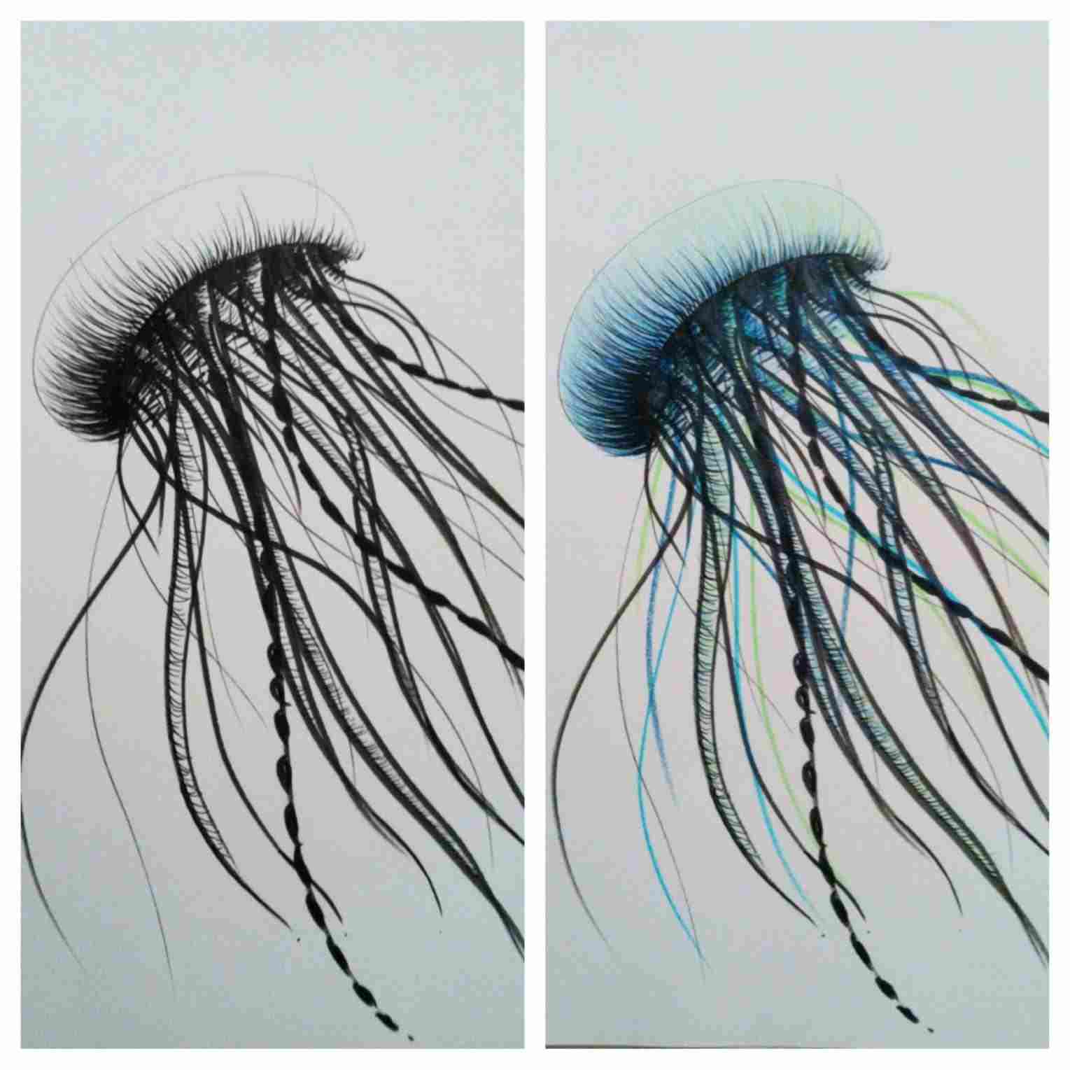 Realistic Jellyfish Drawing at Explore collection