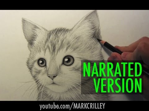 480x360 how to draw a kitten narrated step - Realistic Kitten Drawing