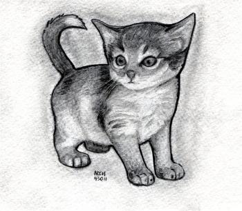 350x306 How To Sketch A Kitten, Step - Realistic Kitten Drawing