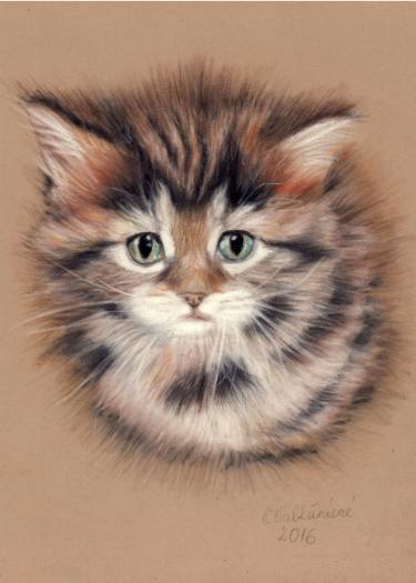 375x525 Cute Kitten Drawing - Realistic Kitten Drawing