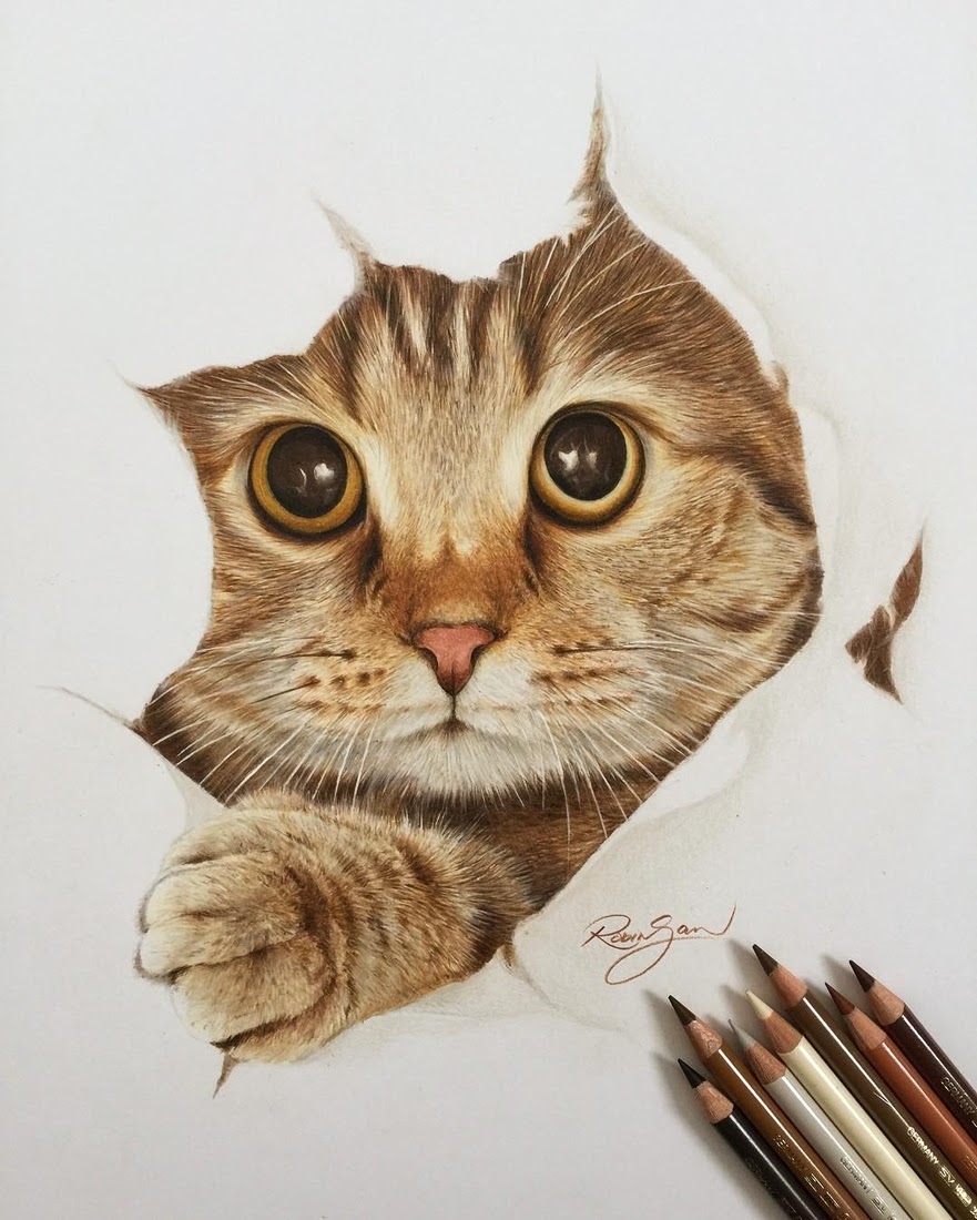 881x1100 Design Stack A Blog About Art, Design And Architecture Realistic - Realistic Kitten Drawing