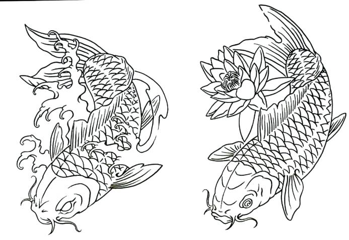693x478 Free Printable Koi Fish Coloring Pages Japanese Realistic Line - Realistic Koi Drawing