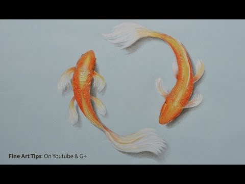 480x360 How To Draw Koi Fish With Color Pencils - Realistic Koi Drawing