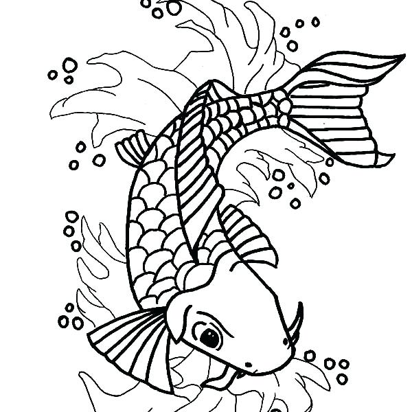 600x600 Koi Fish Coloring - Realistic Koi Drawing